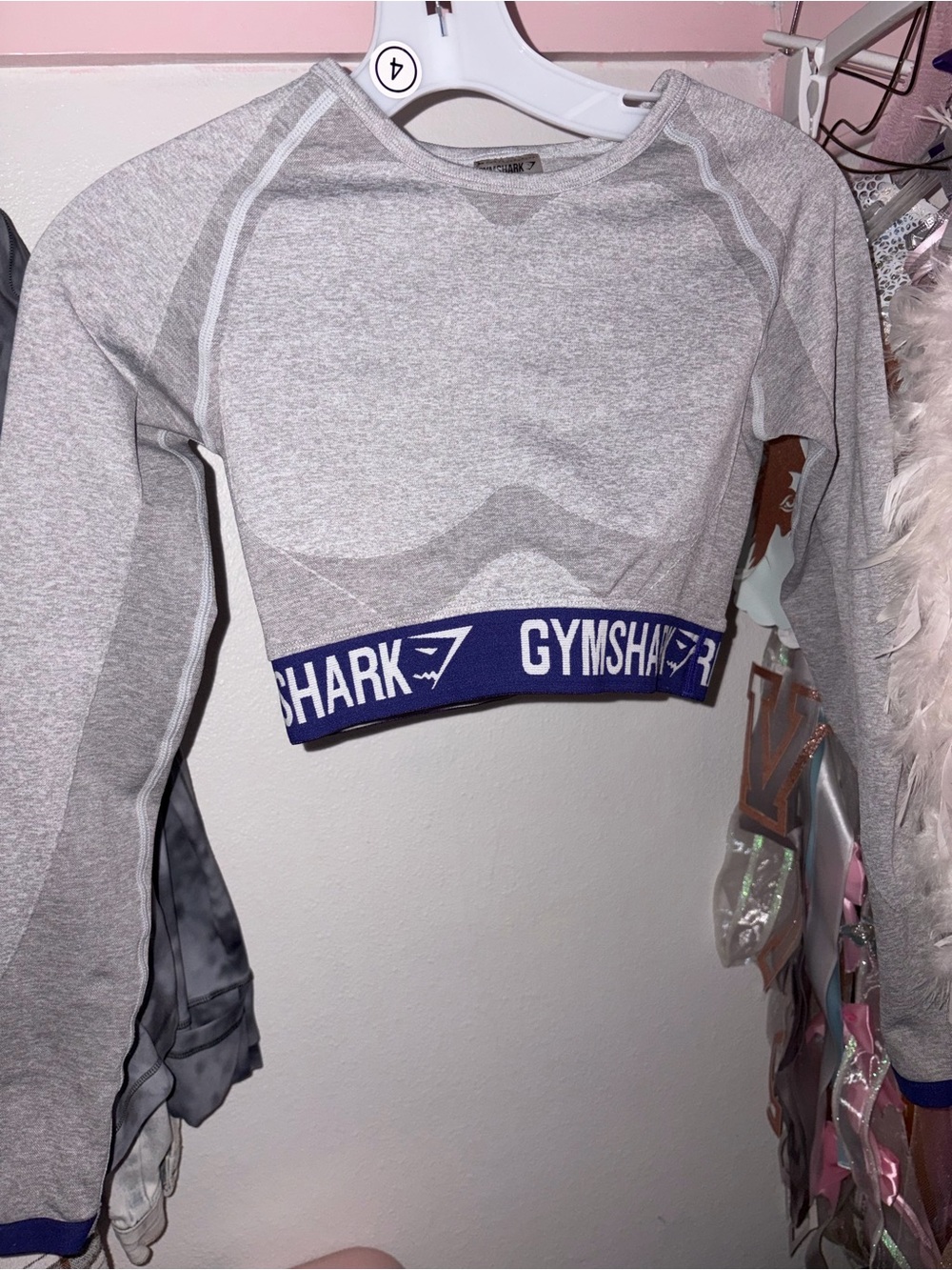 Gymshark Light Gray Cropped Long-Sleeve Pullover with Branded Band
